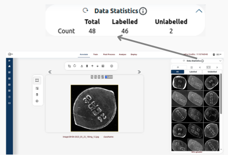 Detection image
